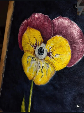 Pansè - Fiore del Pensiero - Pansy