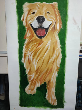 Golden Retriever