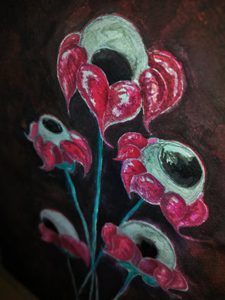 blooming mydriasis