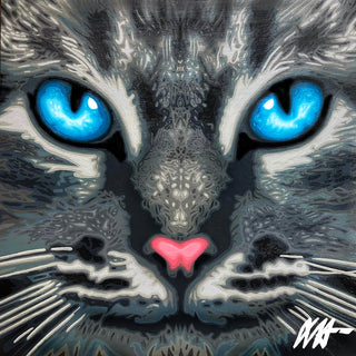 A CAT NAMED OBSERVANT