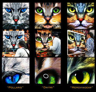 A CAT NAMED OBSERVANT