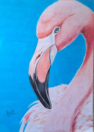 Flamingo