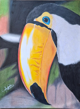 Toucan