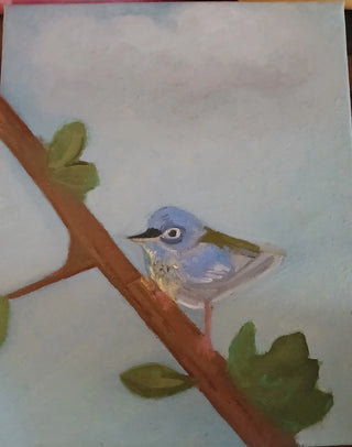 North Parula