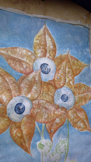 Miosi - Ornitogallo in Sguardo