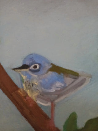 North Parula