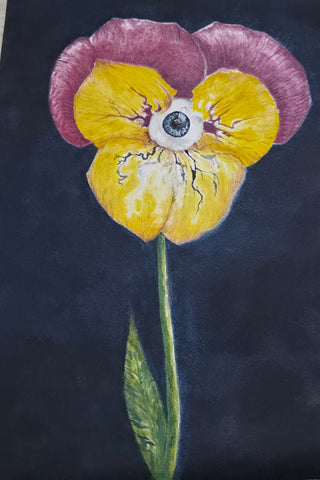 Pansè - Fiore del Pensiero - Pansy