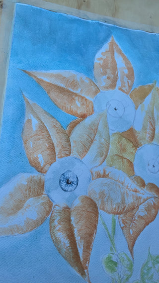 Miosi - Ornitogallo in Sguardo