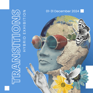Pice Gallery Services Transitions